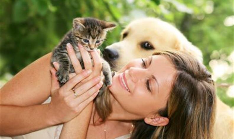 A woman holds a small kitten while a dog looks on in the background outdoors.